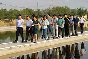 樂陵市省派第一書記一行蒞臨恒運能源集團旗下農(nóng)業(yè)產(chǎn)業(yè)清洋湖指導(dǎo)工作