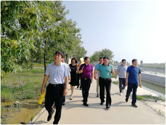 項(xiàng)目建設(shè)新創(chuàng)舉 整體規(guī)劃大提升 中國農(nóng)科院特產(chǎn)研究所副所長李滋睿一行到清洋湖來考察