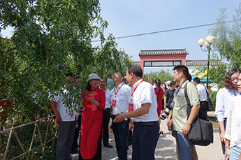 共享棗博盛會 攜手再創(chuàng)佳績 熱烈慶祝2017中國（樂陵）金絲小棗文化節(jié) 暨第五屆百棗綱目（集團）新品發(fā)布會圓滿成功